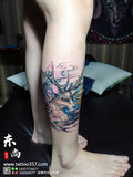小腿 鹿 纹身 (1).JPG
