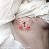 蝴蝶 (1).jpg