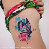 蝴蝶 (3).jpg