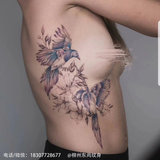 鸟 (2).jpg