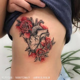 心脏 (3).jpg