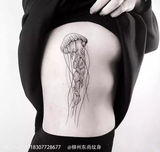 水母.jpg