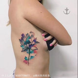 莲花.jpg